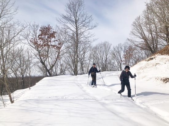 釧路湿原 スノーシュー体験 経験によりコースを決定！雪に埋もれる湿原を体験しに出かけよう＜1～3月／最大3名／送迎可／釧路市内駅集合＞byEAST POWER