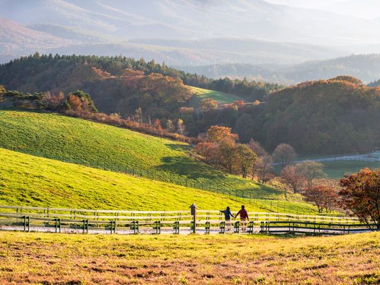 Korea_Pyeongchang_大関嶺羊牧場_pixta_33775397_M