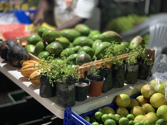 ナイトマーケット散策ツアー　地元の文化・料理・芸術に触れローカルな雰囲気を満喫！＜往復送迎／日本語ガイド／キングストン発＞