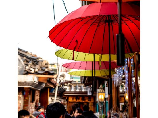 ソウル市内観光ツアー人気6カ所巡り 世界遺産昌徳宮+仁寺洞+益善洞(カフェタイム付き)+北村韓屋村+広蔵市場+青瓦台 ＜午前or1日昼食付きプランも有／日本語＞