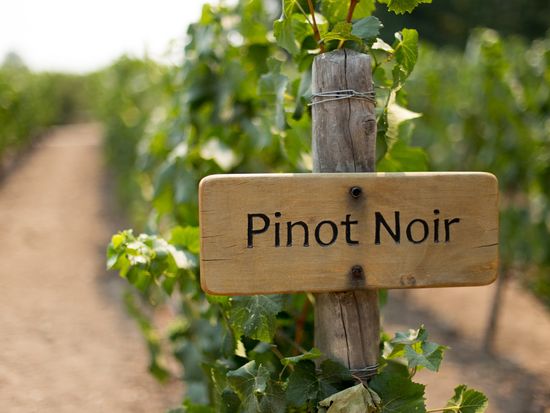 Generic_Wine_shutterstock_576915331