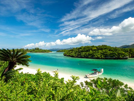 shutterstock_1770160391