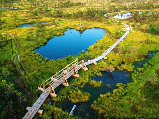 ラヘマー国立公園 1日観光プライベートツアー　パルムセ荘園＋サガディ荘園＋ヤガラ滝＋ヴィルの湿原＜貸切／英語／昼食付／タリン発＞