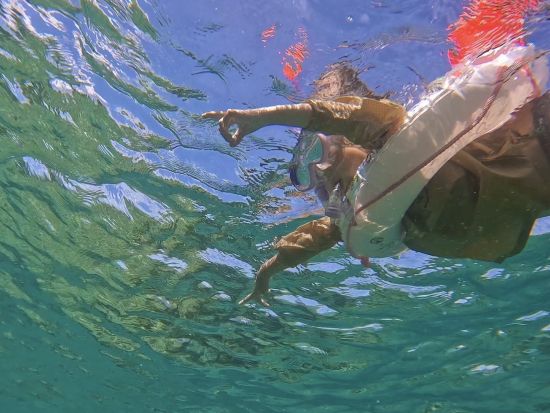 貸切シュノーケリング体験　最大7名の少人数制！沖縄フィッシュウォッチングツアー＜2歳から参加OK／恩納村発＞ 