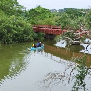 釧路湿原ロングカヌー 木々の間を抜け、だんだん開ける視界、音のない世界へ…動物たちとの遭遇率高め！＜4～11月／最大2名／遠矢駅集合＞byEAST POWER