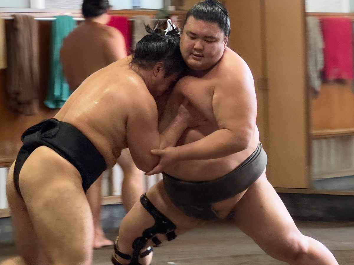 即日予約】枡席付き朝稽古見学ツアー 日本の国技「大相撲」の朝稽古を