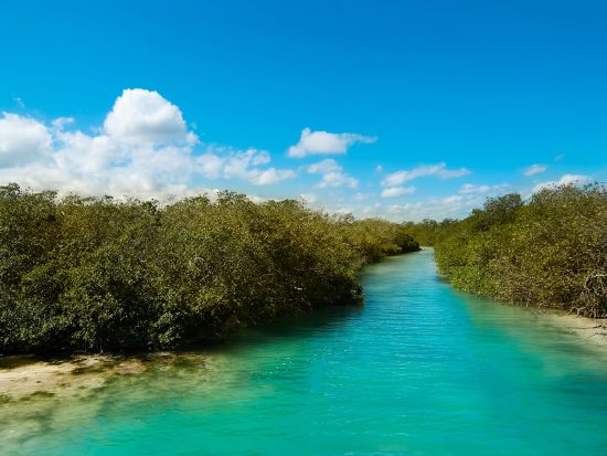 世界遺産シアン・カアンボートツアー　生い茂るマングローブやカリブ海シュノーケリングなど大自然を満喫！＜ランチ付き／英語ガイド／カンクンorリビエラマヤ発＞