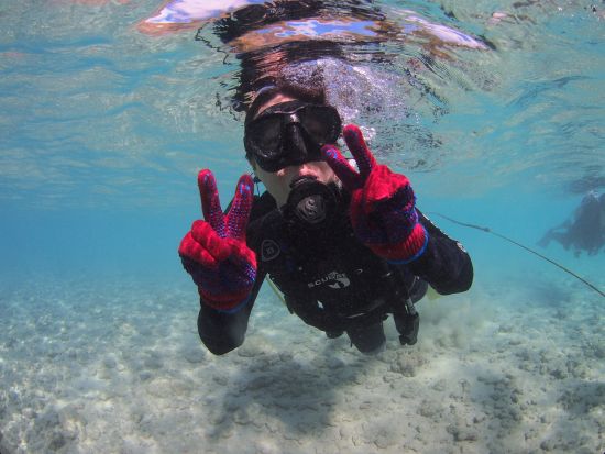 ハナウマ湾体験ダイビング　1日4名限定！ビーチからのエントリーで初心者にもおすすめ！GoProレンタル付きプランあり＜ビーチ／１ダイブ＞by アロハナダイバーズ