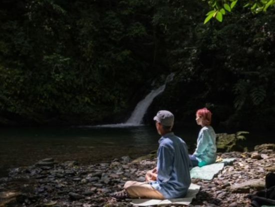 【北部～名瀬送迎可】マングローブカヌー＆滝散歩1日プライベートツアー 奄美群島認定エコツアーガイド照井さんがご案内 by EVERGREEN奄美