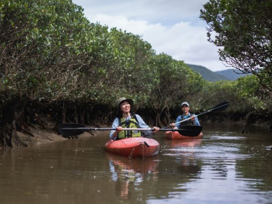 【北部～名瀬送迎可】マングローブカヌー半日プライベートツアー 奄美群島認定エコツアーガイド照井さんがご案内 by EVERGREEN奄美