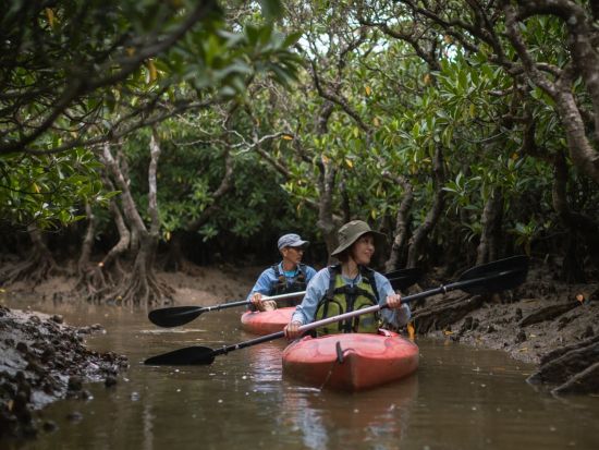 【北部～名瀬送迎可】金作原原生林散策＆マングローブカヌープライベートツアー奄美大島認定ガイド照井さんがご案内＜1日＞ by evergreen奄美