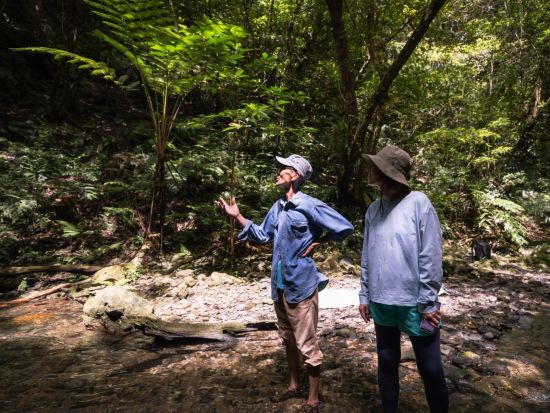 【北部～名瀬送迎可】原生林の滝に癒される滝散歩プライベートツアー 奄美群島認定エコツアーガイド照井さんがご案内 ＜半日＞ by EVERGREEN奄美