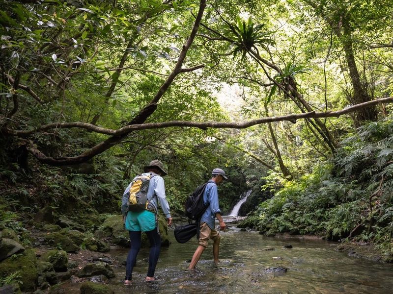 ホートマタ (3)-fotor-2023121318240