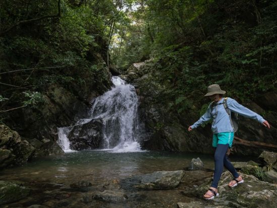 【北部～名瀬送迎可】原生林の滝に癒される滝散歩プライベートツアー 奄美群島認定エコツアーガイド照井さんがご案内 ＜半日＞ by EVERGREEN奄美
