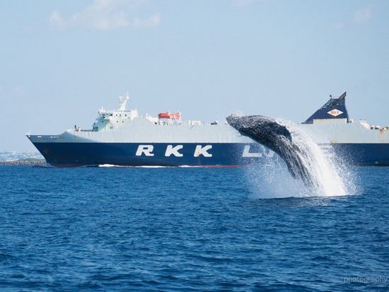 c99703cab956d5ff430140cefe5b4fdb