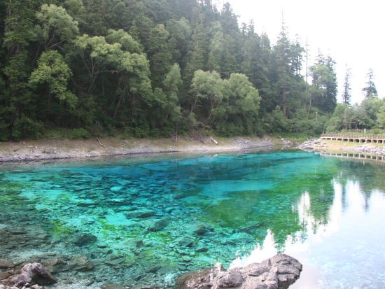 【上海発】成都と世界遺産・九寨溝と黄龍3泊4日＜宿泊付き / 列車利用 / 日本語ガイド / 食事付き / 1名催行＞