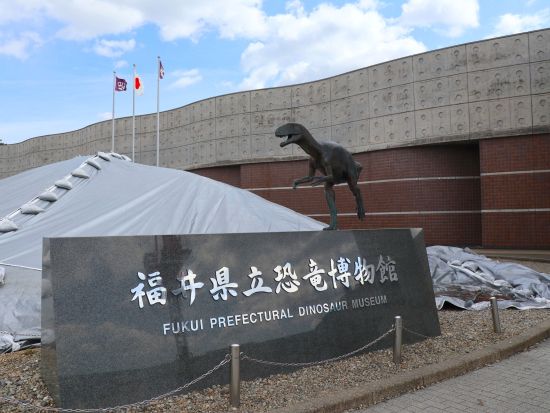 福井発半日バスツアー 初めましてふくい名所旅 福井県立恐竜博物館＋平泉寺白泉神社 or 越前大仏 ＜午前コース／土・日・祝日／バスガイド付き＞byはぴバス