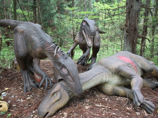 pixta_54091186_M (1)