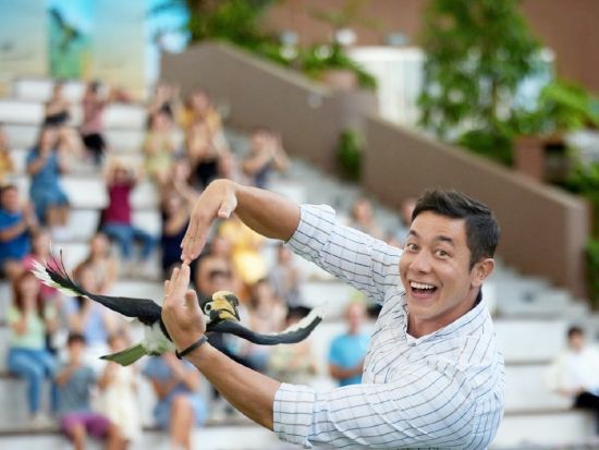 バードパラダイス＋ナイトサファリツアー　マルチランゲージ（日本語音声）トラム確約＆アニマルショー鑑賞　ビュッフェディナー付き ＜日本語ガイド／往復送迎＞