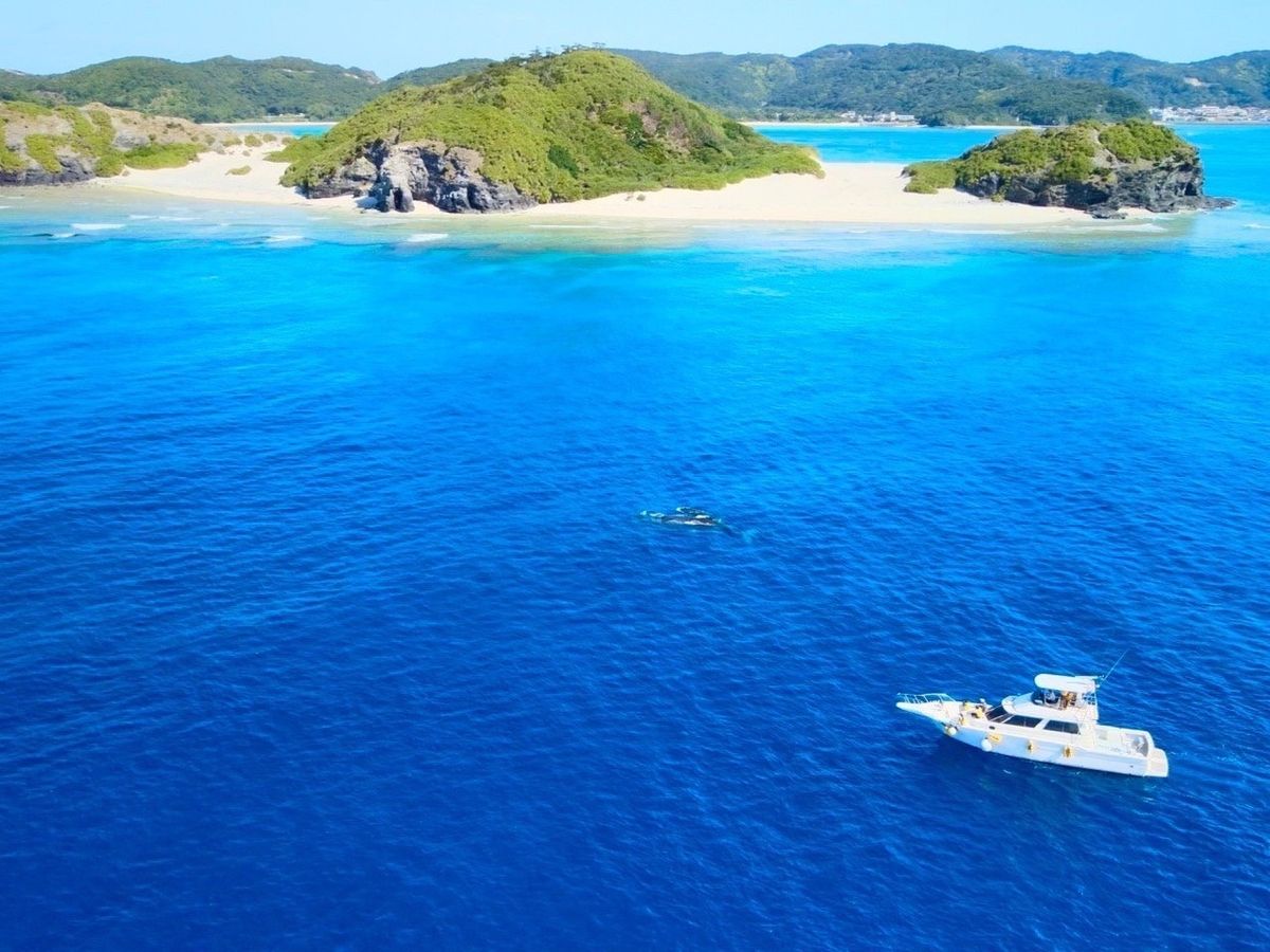 20231222020758_709732929_15267