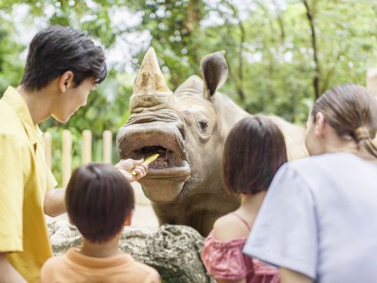 シンガポール動物園　自然の中でのびのび暮らす動物に会いに行こう ＜入場チケット込／午前／日本語ガイド／往路送迎＞