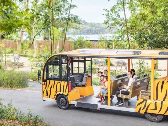 シンガポール動物園　自然の中でのびのび暮らす動物に会いに行こう ＜入場チケット込／午前／日本語ガイド／往路送迎＞