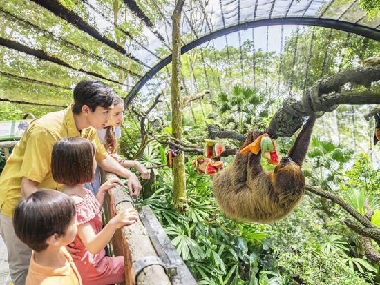 シンガポール動物園　自然の中でのびのび暮らす動物に会いに行こう ＜入場チケット込／午前／日本語ガイド／往路送迎＞