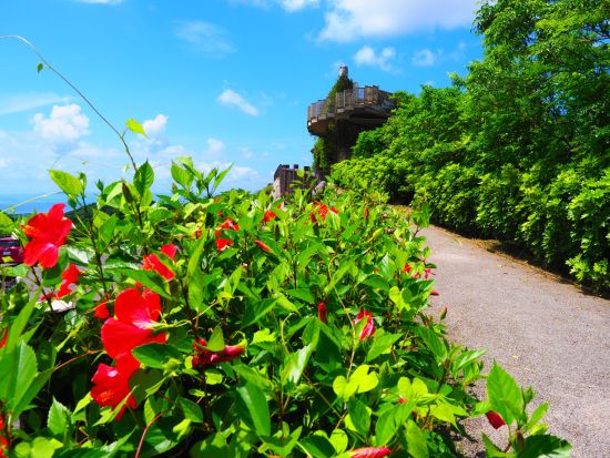 【石垣島】3時間で価値観が変わる!? 地元ガイドと車で巡る 歴史・文化・パワースポット探訪！島のルーツを辿るツアー ― 歴史のさんぽ道 ―＜写真無料／送迎付＞