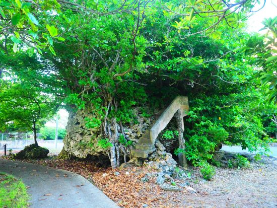 【石垣島】3時間で価値観が変わる!? 地元ガイドと車で巡る 歴史・文化・パワースポット探訪！島のルーツを辿るツアー ― 歴史のさんぽ道 ―＜写真無料／送迎付＞