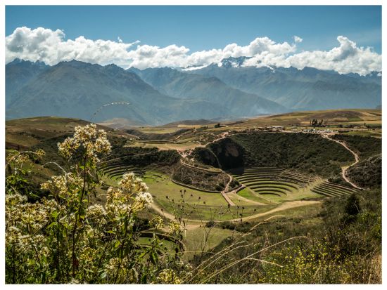 マラス塩田＋モライ遺跡半日観光ツアー＜混載／英語ガイド／クスコ発＞