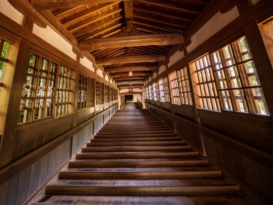 福井発半日バスツアー 初めましてふくい名所旅 大本山永平寺＋福井県立一乗谷朝倉氏遺跡博物館＜午後コース／土日祝／バスガイド付き＞byはぴバス