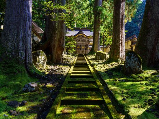 福井発半日バスツアー 初めましてふくい名所旅 大本山永平寺＋福井県立一乗谷朝倉氏遺跡博物館＜午後コース／土日祝／バスガイド付き＞byはぴバス