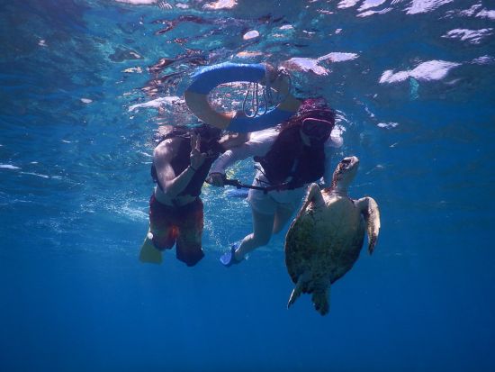 ビーチエントリーパンプキン鍾乳洞ツアー カヤックを漕いでパンプキン鍾乳洞を探検♪ウミガメシュノーケリングとのセットプランあり◎ ＜半日／ツアー写真込み／宮古島＞