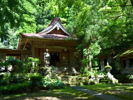 レンタサイクル e-BIKE(電動自転車)でアップダウンも快適！阿蘇の雄大な大自然を満喫する旅＜1～7時間／南小国町＞