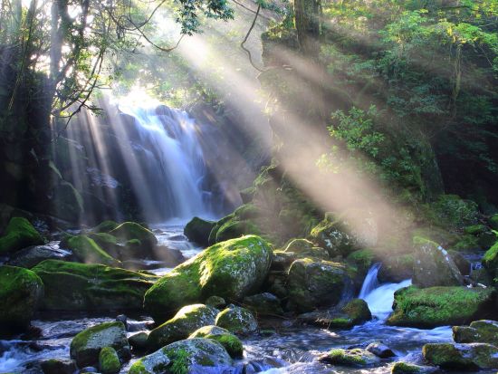 レンタサイクル e-BIKE(電動自転車)でアップダウンも快適！阿蘇の雄大な大自然を満喫する旅＜1～7時間／南小国町＞