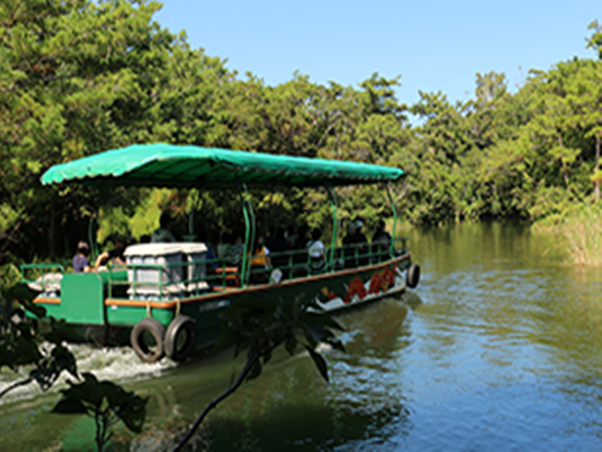 ビオスの丘　湖水鑑賞船1