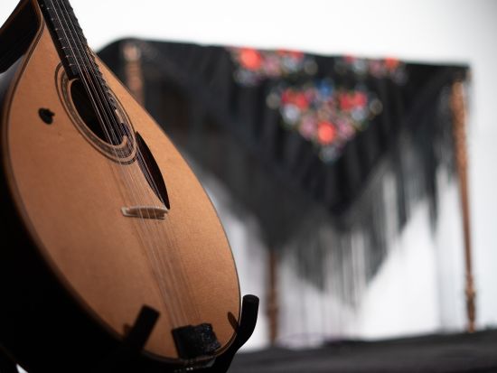 ポルトガル民謡ファドを手軽に体験！市内中心地「ファド・ナ・バイシャ (Fado na Baixa)」 ポートワイン1杯付き＜英語オーディオガイド／ポルト発＞