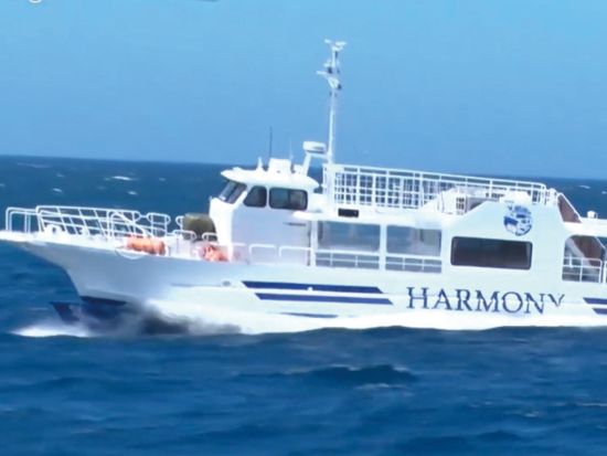 ホエールウォッチング&水中珊瑚鑑賞 揺れにくい高速水中観光船でクジラを見に行こう！水中鑑賞付でカラフルな珊瑚やお魚にも出会えるかも＜半日／那覇発＞