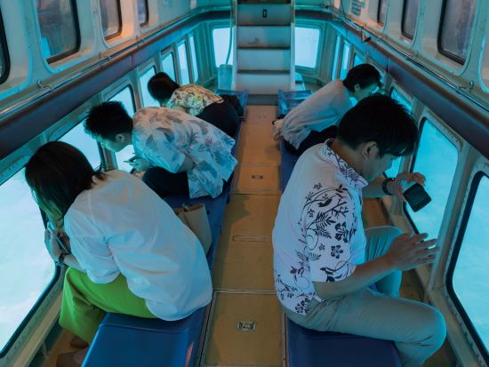 ホエールウォッチング&水中珊瑚鑑賞 揺れにくい高速水中観光船でクジラを見に行こう！水中鑑賞付でカラフルな珊瑚やお魚にも出会えるかも＜半日／那覇発＞