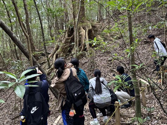 【名瀬市街エリア送迎可能】金作原原生林 散策ツアー エコツアー認定ガイド中岡さんがご案内 奄美の自然に出会いに冒険の旅へ出かけよう！ by 遊名人倶楽部
