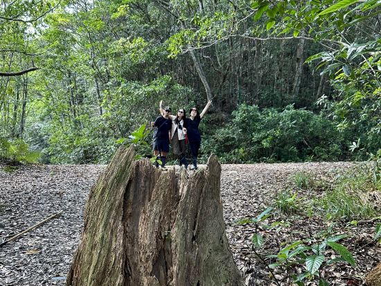 【名瀬市街エリア送迎可能】金作原原生林 散策ツアー エコツアー認定ガイド中岡さんがご案内 奄美の自然に出会いに冒険の旅へ出かけよう！ by 遊名人倶楽部