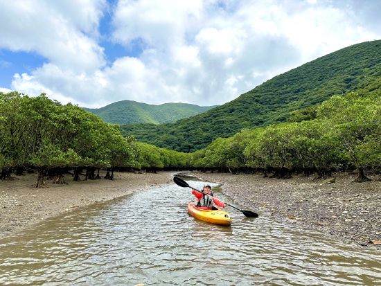 マングローブカヌー＋金作原原生林散策ツアー 認定ガイド中岡さんがご案内 ＜7時間／旧名瀬市街地 無料送迎あり＞ by 遊名人倶楽部
