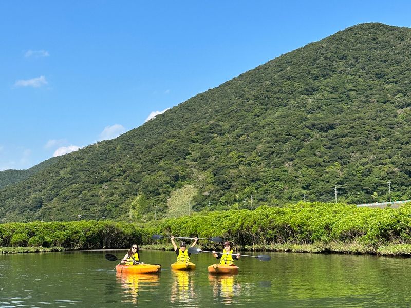 マングローブカヌーツアー３