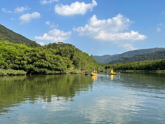 マングローブカヌーツアー１