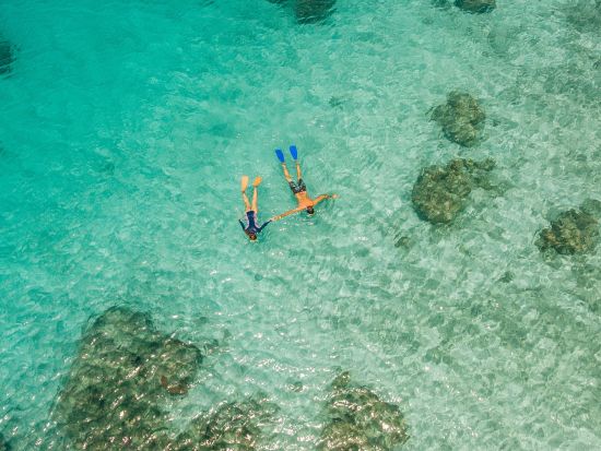 マナ島で過ごす日帰りツアー　人気の離島を楽しむ　到着したら自由時間＜半日または1日／昼食付き／送迎付き＞