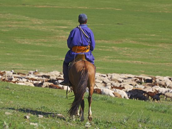 【4泊5日】人気ドラマのロケ地を巡る！テレルジ国立公園＆ノマディックショーも楽しむプライベートツアー ＜食事付き／日本語ガイド／チンギスハーン国際空港発着＞