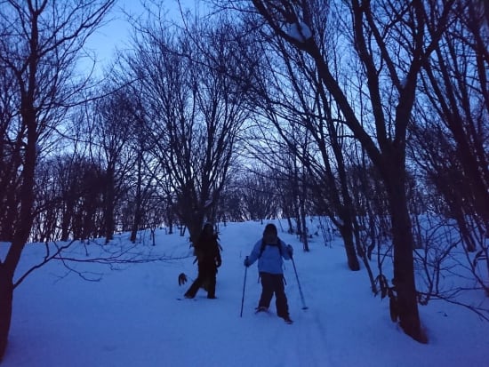 札幌 夜のスノーシュー まるでファンタジー⁉月や星空、まばゆい夜景...。夜の雪の世界を歩く＜12～2月／5歳以上／札幌市内送迎あり＞by n.s ride