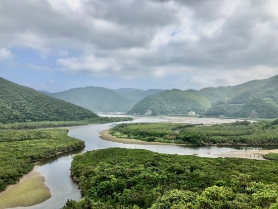 【貸切】マングローブカヤック体験　認定ガイドがご案内するマングローブ林の冒険！島内全域ホテル送迎可能 ＜約2時間＞ by リンクアドベンチャーズ