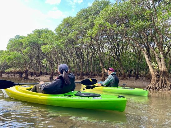 【貸切】マングローブカヤック体験　認定ガイドがご案内するマングローブ林の冒険！島内全域ホテル送迎可能 ＜約2時間＞ by リンクアドベンチャーズ