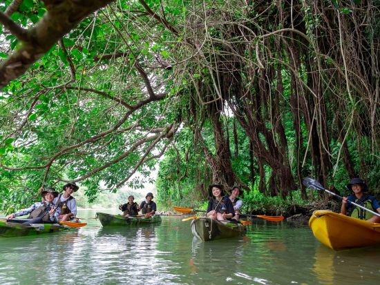比謝川マングローブ カヤックツアー　沖縄本島最大の比謝川（ひじゃがわ）を探検！＜嘉手納・本島中部＞by イーズ